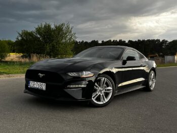 TMK Auto skup sprzedaż aut