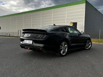 TMK Auto skup sprzedaż aut