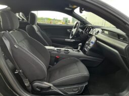 
										FORD MUSTANG full									