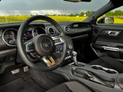 
										FORD MUSTANG full									