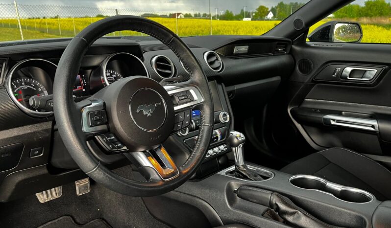 
								FORD MUSTANG full									