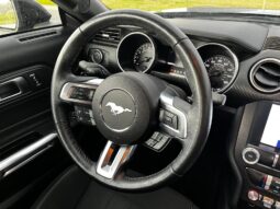 
										FORD MUSTANG full									