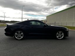 
										FORD MUSTANG full									
