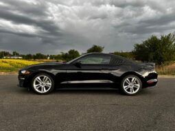 
										FORD MUSTANG full									