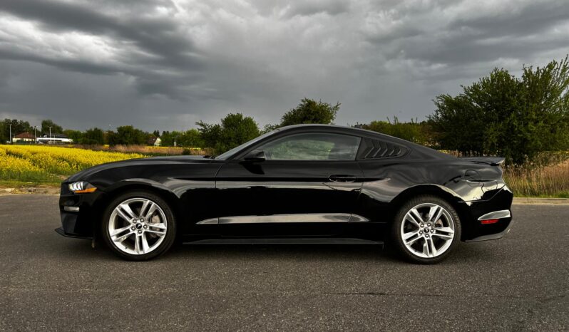 
								FORD MUSTANG full									