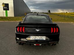 
										FORD MUSTANG full									
