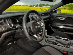 
										FORD MUSTANG full									
